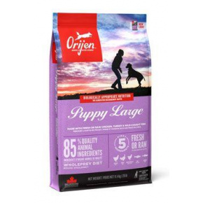 Orijen Dog Puppy Large 6kg ÚJ