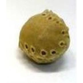 Párna Salač labda bőrből 5 cm Párna Salač labda bőrből 5 cm