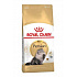 Royal Canin Breed Feline Persian 4kg