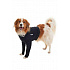 Védőruha Body&Front lábak 36cm XS BUSTER