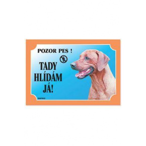 Asztalt nézek itt! Rhodesiai Ridgeback 1db