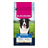 Eukanuba Dog Mature Medium friss csirkében gazdag 15kg