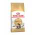 Royal Canin Breed Feline Maine Coon 10kg