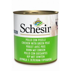 Schesir Dog Cons. Felnőtt csirke/borsó 285g