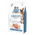 Brit Care Cat GF Nagymacskák Power&Vitality 2kg