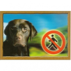 3D Tábla KUTYÁK, Labrador retriever (barna)
