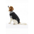 EasyGo Body Dog 63cm XL BUSTER 63cm XL BUSTER