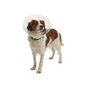 Védő nyakörv BUSTER műanyag Clic nyakörv 7,5cm