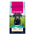 Eukanuba Dog Adult Large friss csirkében gazdag 15kg
