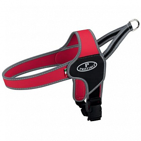 PRATIKO norwegian hám Apollo, piros