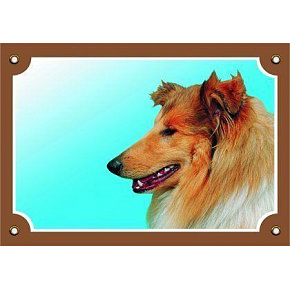 Színes jel Figyelem kutya, Collie Színes jel Figyelem kutya, Collie