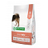 Natures P dog adult adult poultry 4  kg
