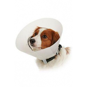 Védőgallér BUSTER átlátszatlan Classic Collar 15cm