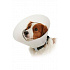 Védőgallér BUSTER átlátszatlan Classic Collar 15cm