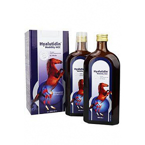 Hyalutidin Mobilitás HCC 2x500ml