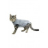 EasyGo Body Cat 33cm XXS BUSTER 33cm BUSTER