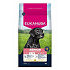 Eukanuba Dog Senior Large friss csirkében gazdag 3kg