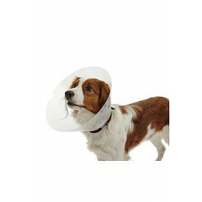 Védő nyakörv BUSTER műanyag klasszikus nyakörv 15cm