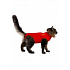Védőruha MPS Cat 43cm S