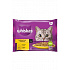 Whiskas tasak Core baromfi szaftban 4x85g