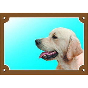 Színes jel Figyelem Kutya, Golden Retriever, Golden Retriever Színes jel Figyelem Kutya, Golden Retriever, Golden Retriever