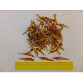 Pamlsok Salač Szárított hal 100 g Pamlsok Salač Szárított hal 100 g