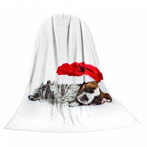 TEXSTAR mikroszálas takaró 280g 150 x 200 cm, karácsonyi cica és kiskutya