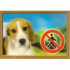 3D Tábla KUTYÁK, Beagle