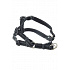 Hám BUSTER Airmesh fényvisszaverő S, 20mm fekete