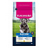 Eukanuba Dog Mature Small friss csirkében gazdag 3kg