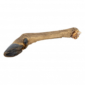 Szarvasláb szőrmével - 1 db / 43 - 49 cm