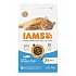 Iams Macska Senior Tengeri Hal 3kg