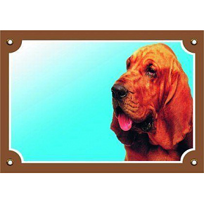 Színes jel Figyelem kutya, Bladhaund Színes jel Figyelem kutya, Bladhaund