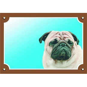 Színes jel Figyelem kutya, mopsz