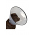 BUSTER védőgallér műanyag Comfort Collar 7,5 cm