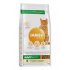 Iams Cat Adult Csirke 10kg