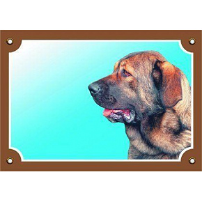 Színes jel Figyelem kutya, spanyol masztiff Színes jel Figyelem kutya, spanyol masztiff