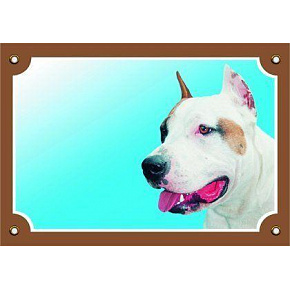 Színes jel Figyelem kutya, Staffordshire amerikai terrier Színes jel Figyelem kutya, Staffordshire amerikai terrier