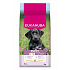 Eukanuba Dog Puppy Large friss csirkében gazdag 15kg