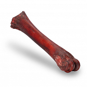 KIDDOG 100% Természetes Snack, füstölt marha lábszárcsont - 1 db / 20-24 cm