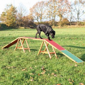 Dog Activity AGILITY tréning tálca 456x64x30 cm