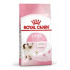 Royal Canin Feline Kitten 400g