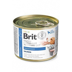 Brit VD Dog+Cat GF konz Recovery 200g