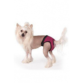 Fun Colours Hotpants XXL nadrág