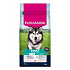 Eukanuba Dog Adult Large gazdag lazacban és árpában 12kg