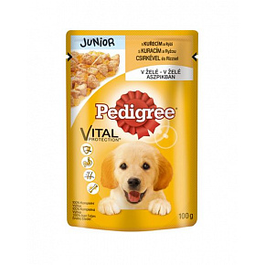 Mars PEDIGREE tasak dog JUNIOR csirkehússal & rizzsel zselében 24 x 100 g