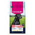 Eukanuba Dog Senior Large friss csirkében gazdag 15kg