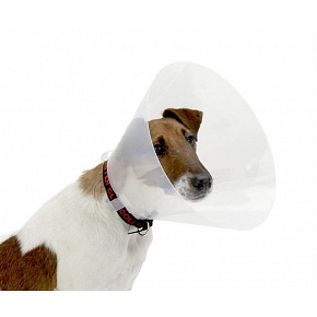 Clic BUSTER 10 cm-es védőgallér, 10 db
