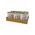 BOHEMIA Lóhús saját levében SIX PACK 6x800g