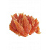 Csemege csirkemell puha 500g